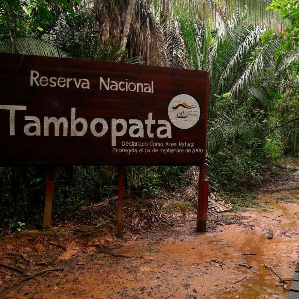 Tours en Tambopata desde Paraguay
