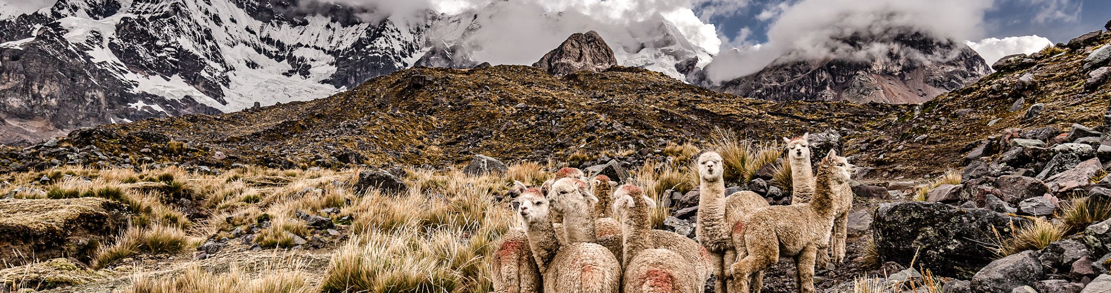 Machu Picchu 8D7N Viajero (Full Aventura Tendencia) desde Paraguay