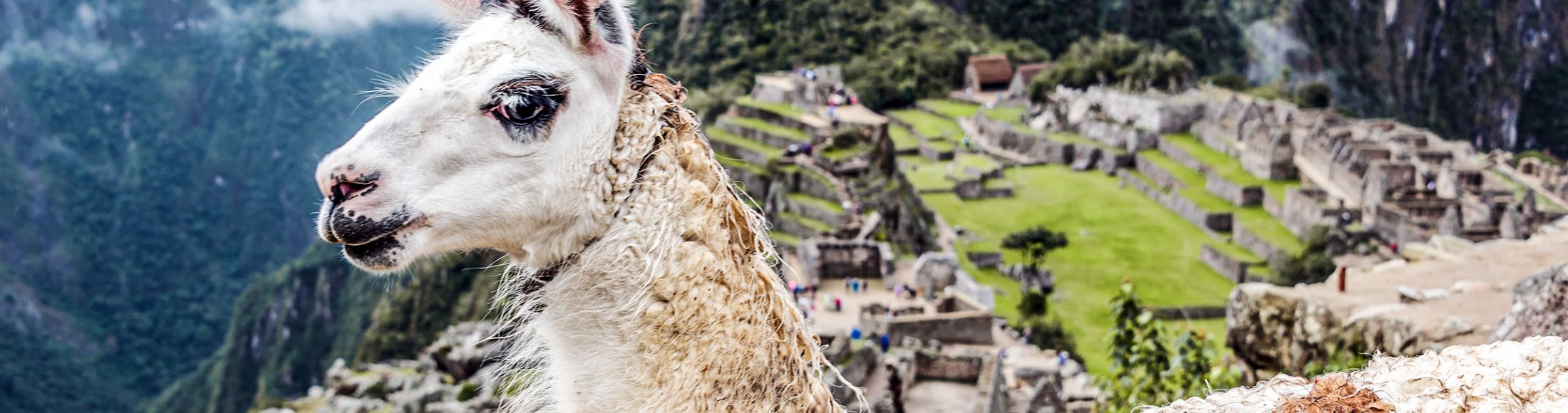 Machu Picchu 8D7N Viajero (Full Cultural) desde Paraguay