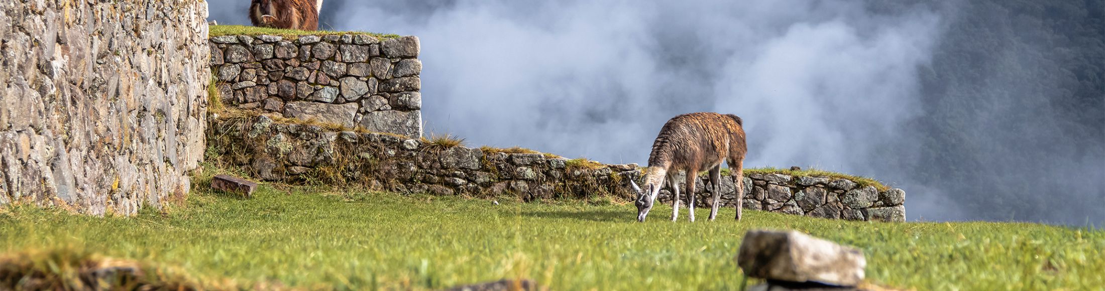 Machu Picchu 4D3N Viajero (Cultural Aventura) desde Paraguay